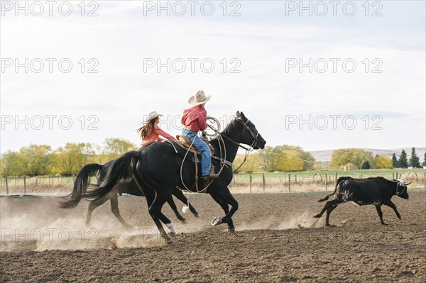 Caucasian herders chasing cattle at rodeo