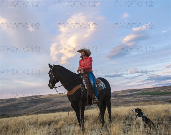 Caucasian woman sitting on horse in grassy field