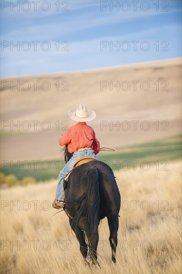 Caucasian boy riding horse in grassy field