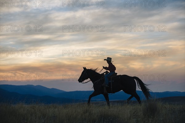 Caucasian boy riding horse in grassy field