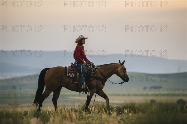 Caucasian cowgirl riding horse in rural field