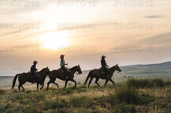 Cowgirls riding horses in rural field