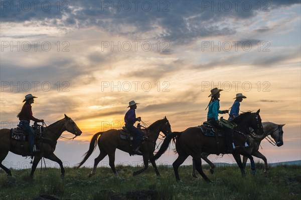 Cowgirls and cowboy riding horses in rural field