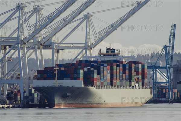 Cargo containers on freighter at shipping port