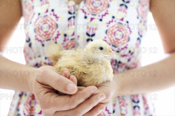 Caucasian woman holding chick
