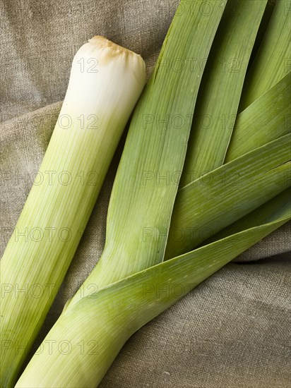 Close up of leek stalk