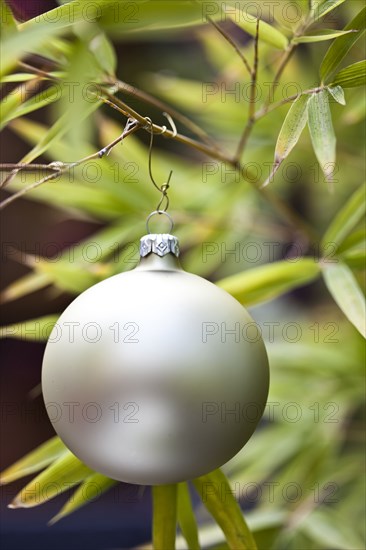 Close up of Christmas ornament on tree