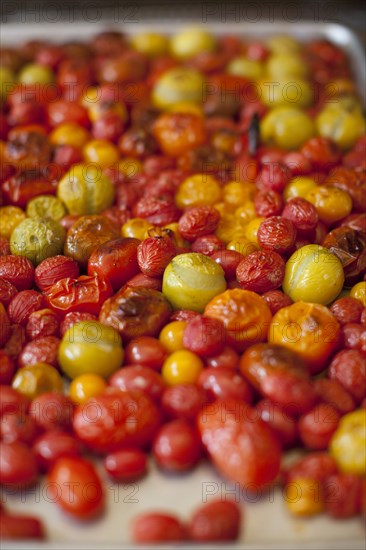 Tray of roasted tomatoes