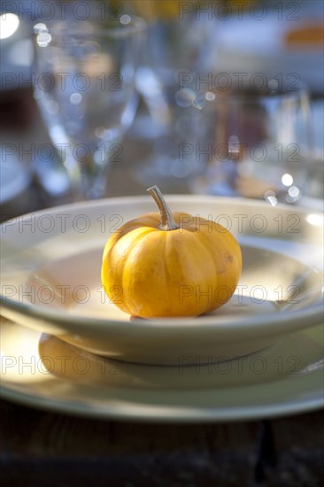 Small pumpkin on plate