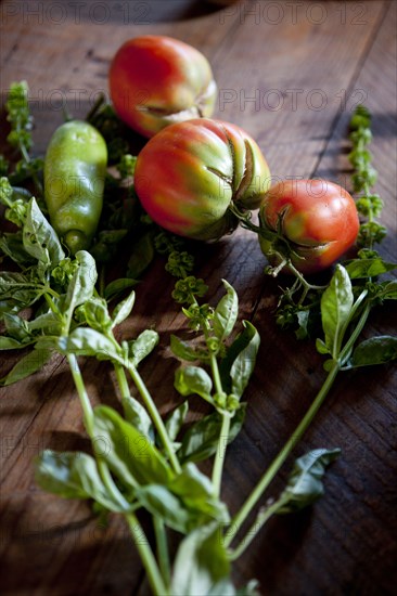 Ripening tomatoes and basil