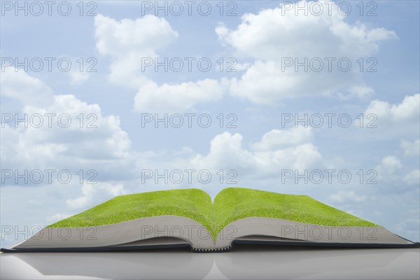 Green grass growing in pages of book