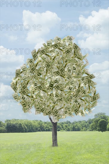 Illustration of dollar bills growing on tree