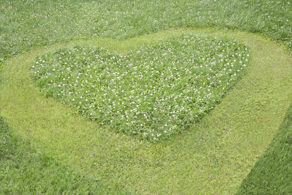 High angle view of heart mowed in grass lawn