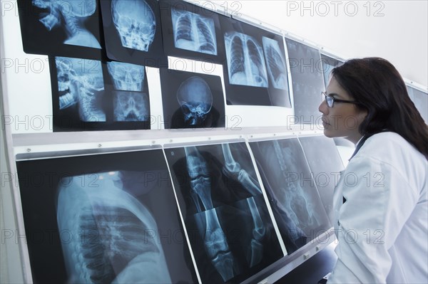 Hispanic doctor examining x-rays in hospital