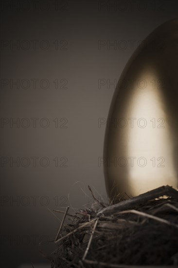 Golden egg in nest