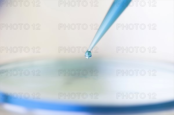 Close up of liquid on dropper over petri dish