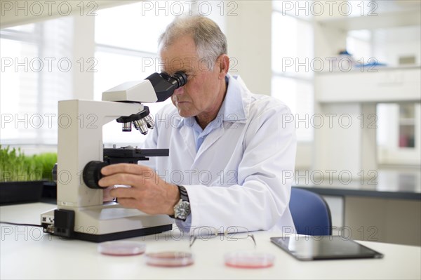 Caucasian scientist using microscope in laboratory