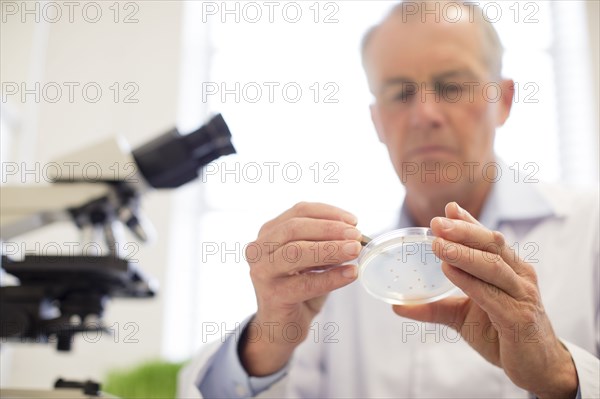 Caucasian scientist examining sample in laboratory