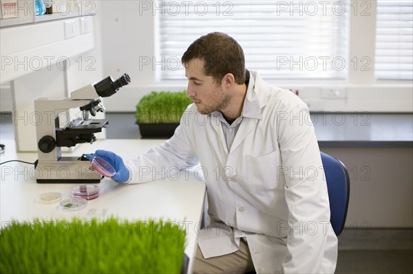 Caucasian scientist examining sample in laboratory
