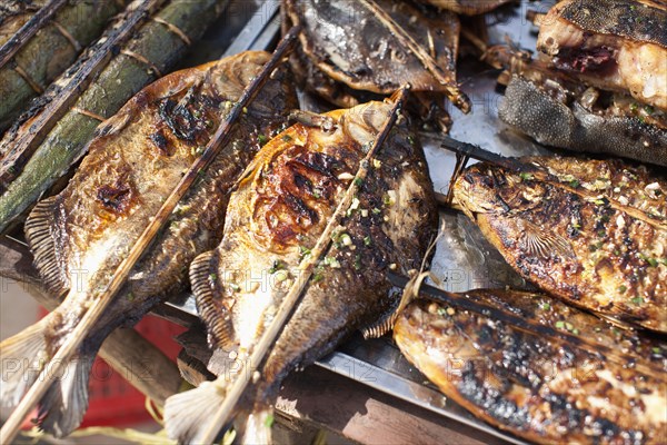 Grilled fish in market