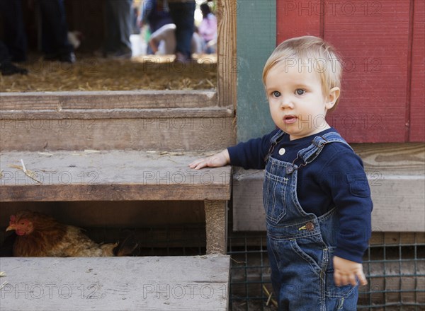 Caucasian boy standing by chicken coop