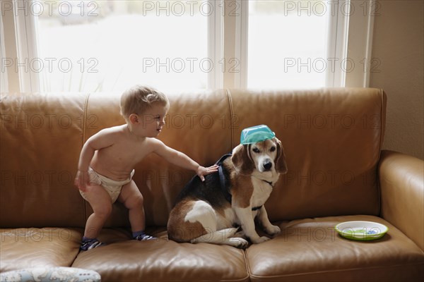 Caucasian boy playing with dog on sofa
