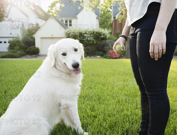 Caucasian woman playing with dog in park