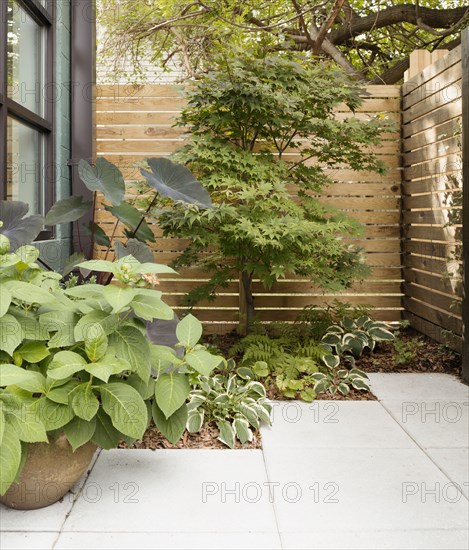 Landscaping and patio of modern condo building