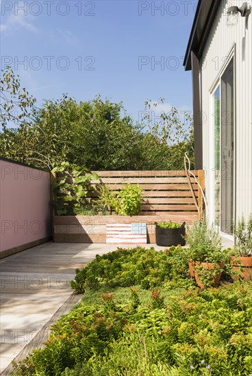 Landscaping and patio of modern condo building