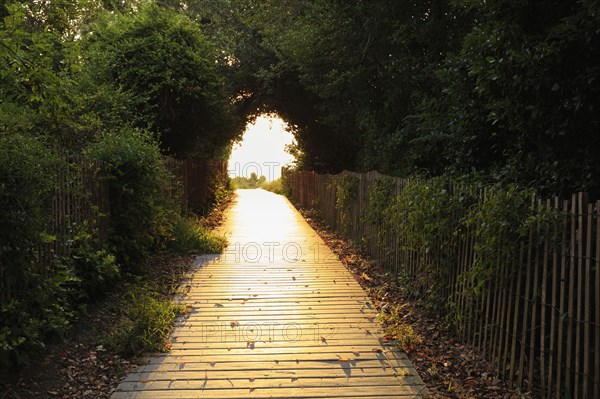 Wooden walkway to beach