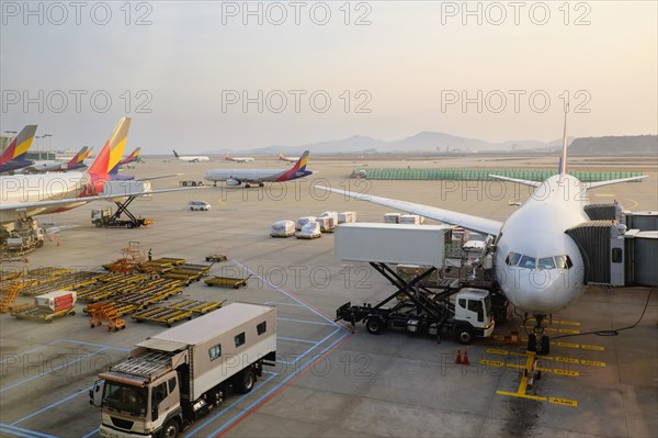 Airplanes and walkways at airport