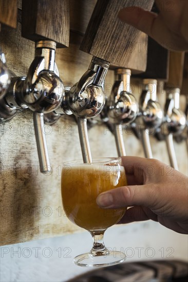 Hand of Caucasian man pouring beer from tap