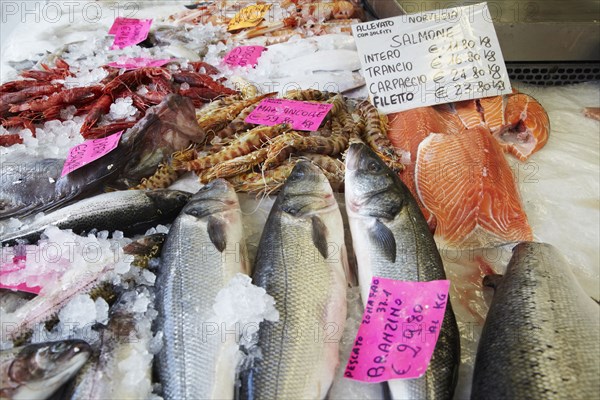 Close up of fish on ice in market