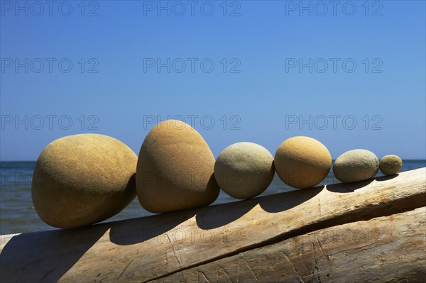 Stones lined up on driftwood