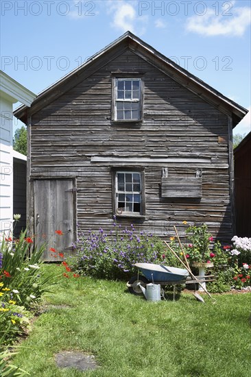 Wheelbarrow and flowerbeds in backyard