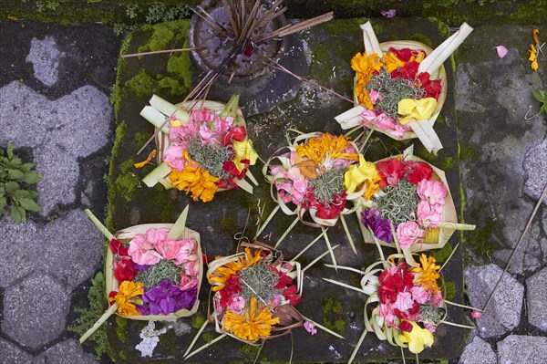 Close up of flower trays