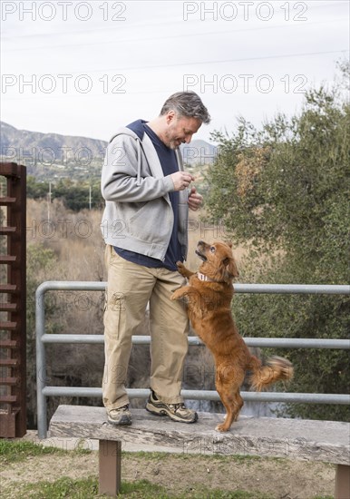 Caucasian man playing with dog in park