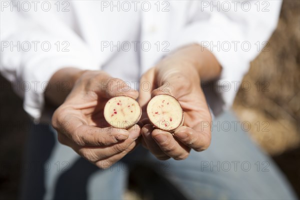 Caucasian woman holding sliced vegetable in garden