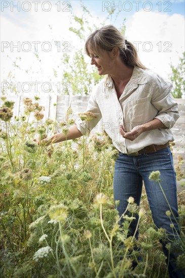 Caucasian woman harvesting flower seeds in garden