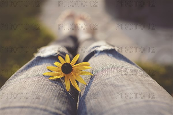 Close up of daisy on jeans of girl