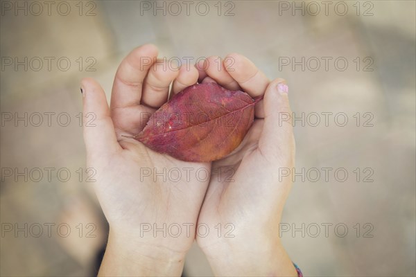 Caucasian girl holding autumn leaf