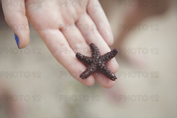 Caucasian girl holding starfish