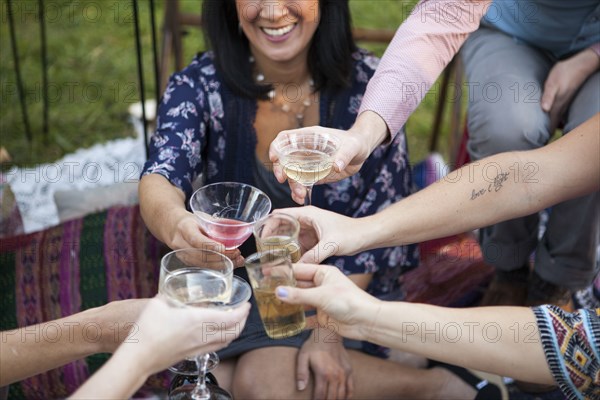 Friends toasting with champagne at picnic in park