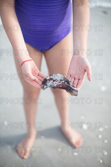Teenage girl holding seashell on beach