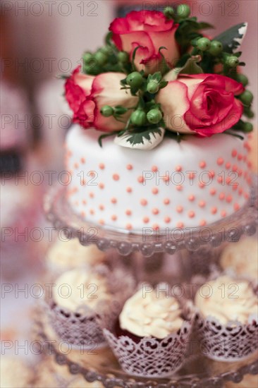 Close up of decorated cake and cupcakes