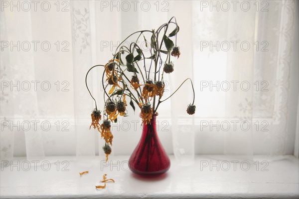 Bouquet of wilting flowers in windowsill