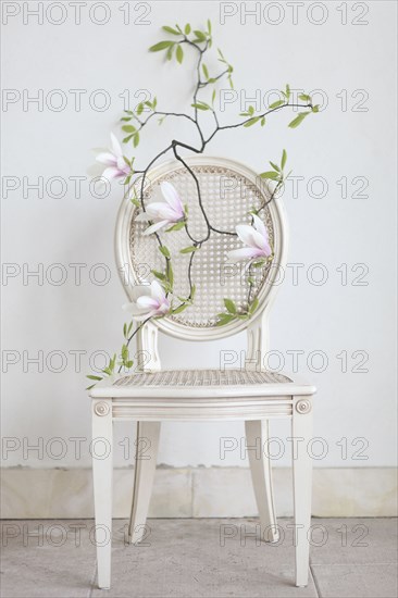 Flowering branch on empty chair