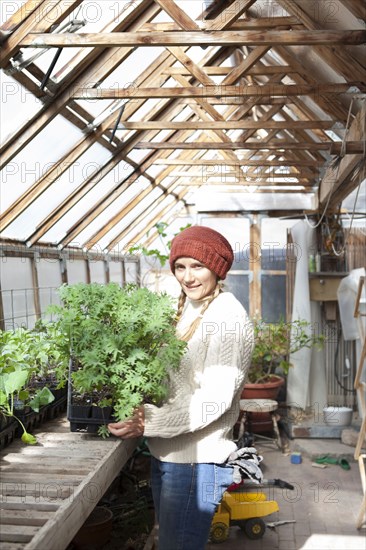 Gardener carrying potted plants in greenhouse