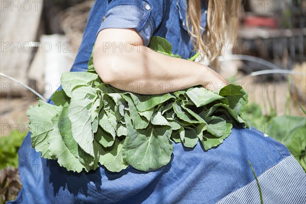 Close up of woman holding fresh vegetables in garden