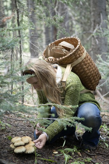 Woman foraging for mushrooms in forest